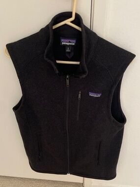 Patagonia sweater vest